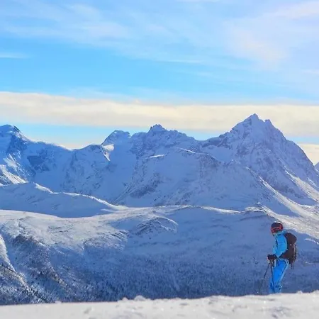 Feriehus Kavliskogen Panorama